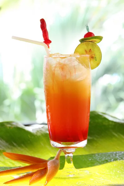 Tropical cocktail with fresh fruits — Stock Photo, Image