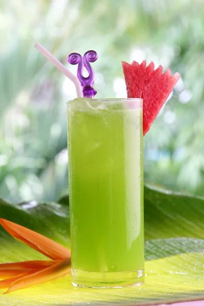 Тропічний коктейль зі свіжими фруктами — стокове фото