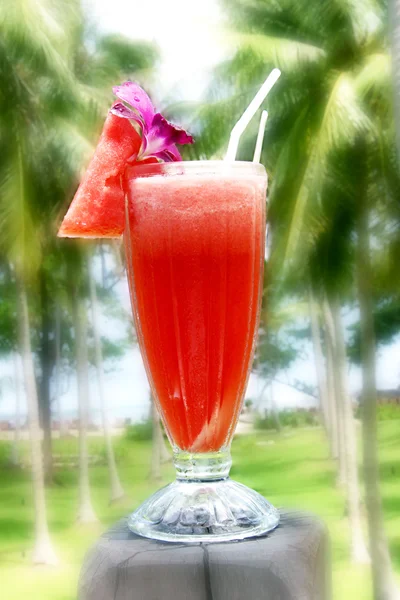 Tropical cocktail with fresh fruits — Stock Photo, Image