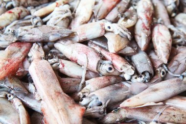 Kuru deniz ürünleri.