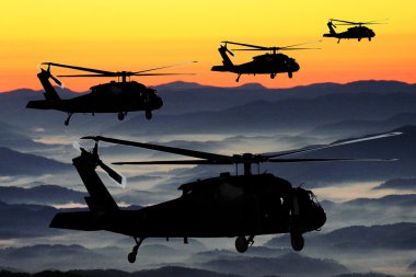 Helikopter, kabin ve rotor detayları .