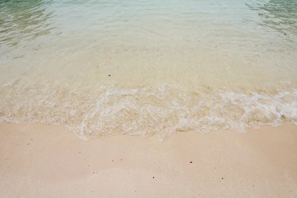 A homokos tengerparton kagylók — Stock Fotó