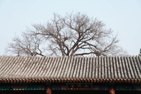 Pekin Çin Yasak Şehir tapınaklar çatısı. — Stok fotoğraf
