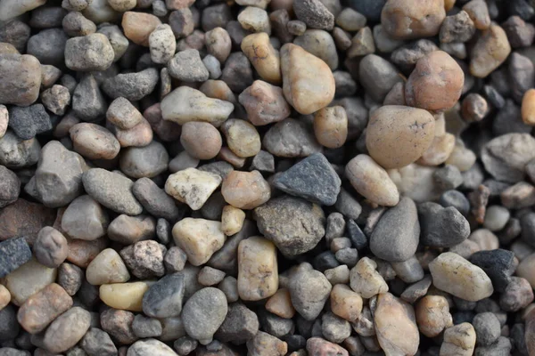 Kumun makro fotoğrafçılığı