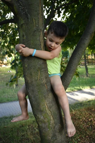Çocuk parkta bir ağaçta oturuyor.