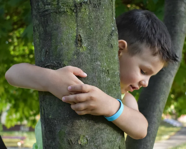 Çocuk parkta bir ağaçta oturuyor.