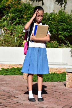 Ders kitapları ayakta duran stresli Güzel Azınlık Kişisi