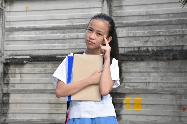 Öğrenci Liseli Kız Defterleriyle Bir Fikri Var — Stok fotoğraf