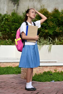 Liseli Kız ve Karışıklık Ayakta Duran Defterler