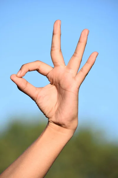 Female Hand Gesture — Foto Stock
