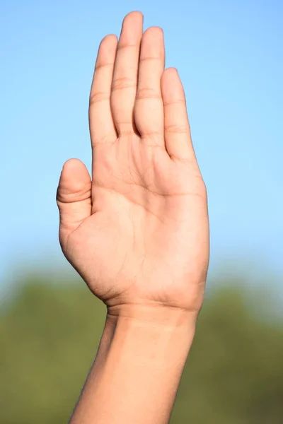 Palm Female Hand — Stock fotografie