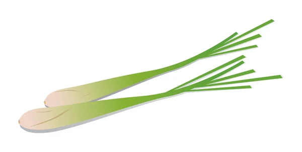 Lemongrass on white background — Stock Vector