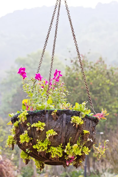 Flores na cesta — Fotografia de Stock