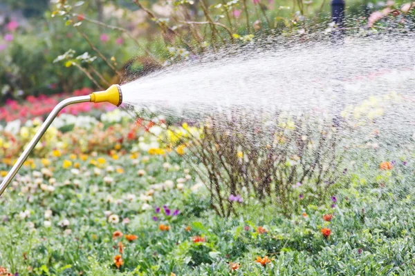 Water geven in de tuin — Stockfoto