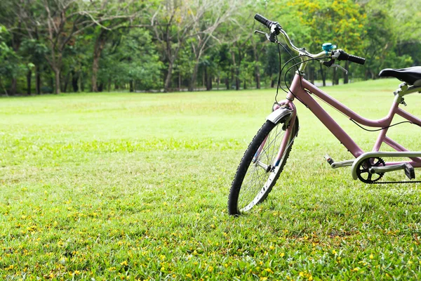 Bicicletta nel parco — Foto Stock