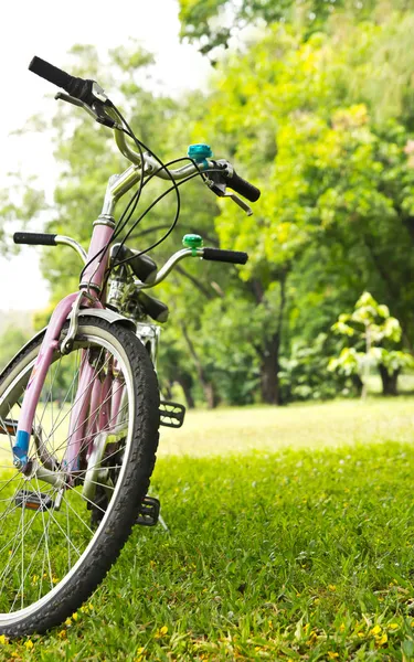 Cykel i parken — Stockfoto