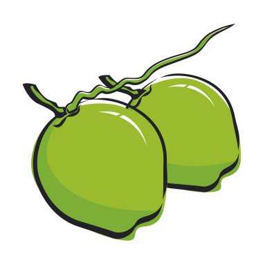 Hindistan cevizi tasarım