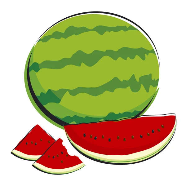 Watermelon — Stock Vector