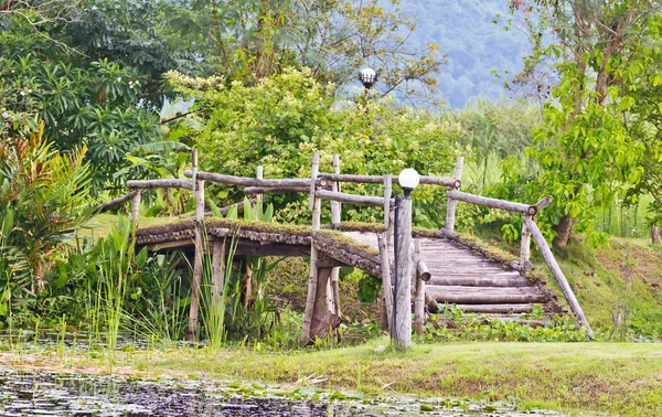 Puente de bambú — Foto de Stock