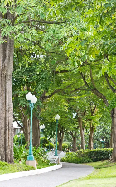 Weg im Park — Stockfoto