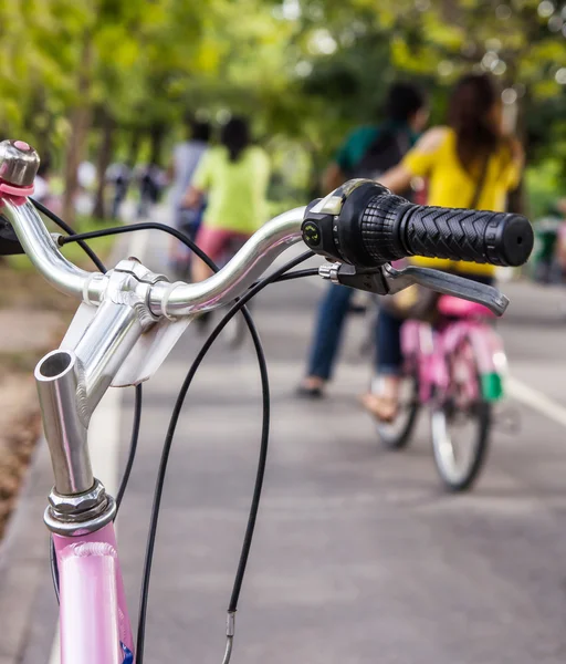 Parkta bisiklet — Stok fotoğraf