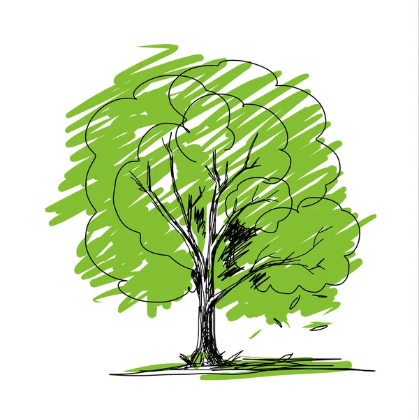 Croquis vectoriel d'arbre — Image vectorielle