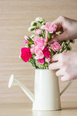 Sulama yapılan karanfil