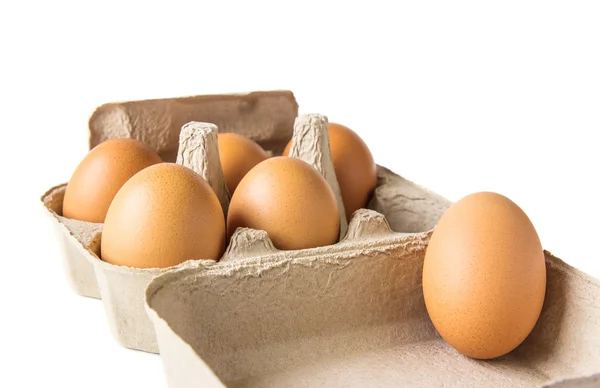 Ovos sobre fundo branco — Fotografia de Stock