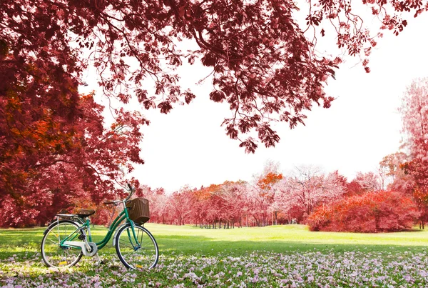 Fahrrad im Park — Stockfoto