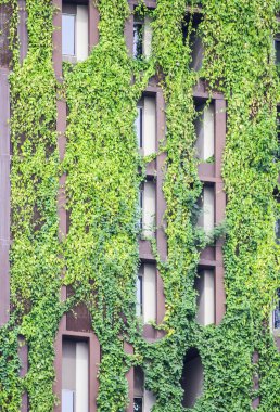 ağaç üzerinde bina. Yeşil Kavramlar düşünüyorum.