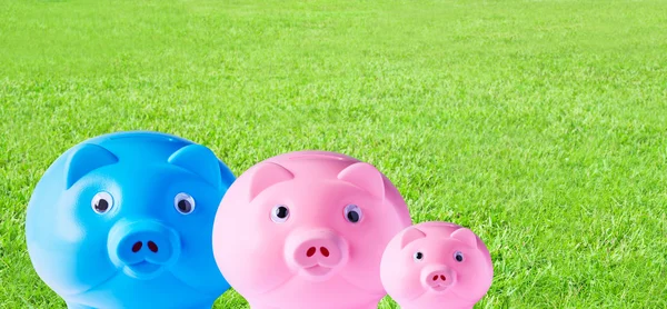 Sparschwein Familie auf Gras Hintergrund — Stockfoto