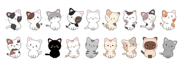 Ensemble Chat Sur Fond Blanc Illustration Vectorielle — Image vectorielle