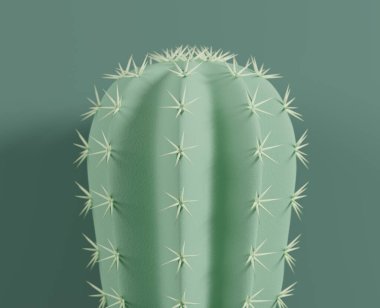 Yeşil arkaplan üzerine kaktüs 3B oluşturma