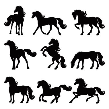 atları toplama, izole Icon set siluet