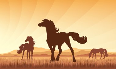 atları günbatımı arka plan vektör siluet illustrat alanında