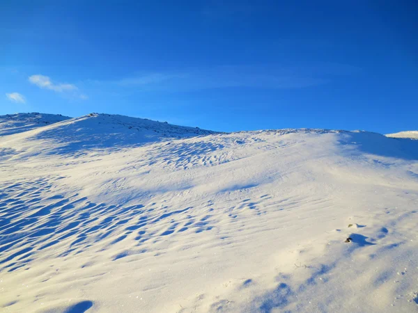 Hoge berg in oppdal, Noorwegen Stockafbeelding