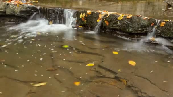 Waterfall time lapse in autumn — Stock Video