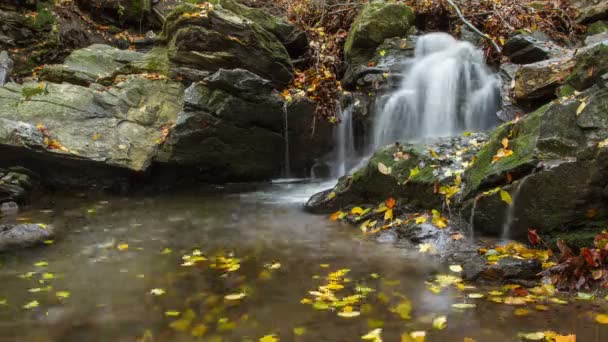 Cachoeira time lapse in autumn — Vídeo de Stock