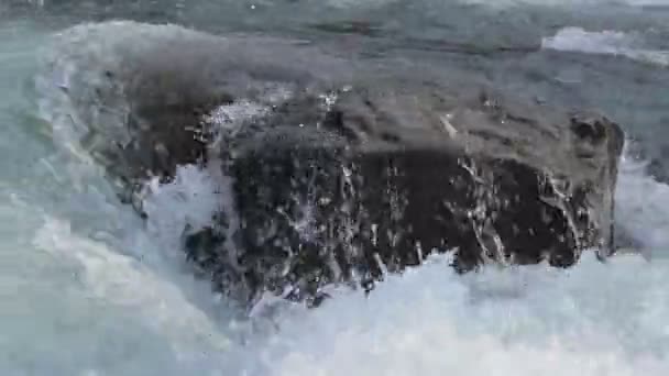 Wasserlauf auf dem Fluss — Stockvideo