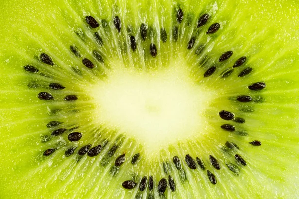 Kiwi-Fruchtscheibe — Stockfoto