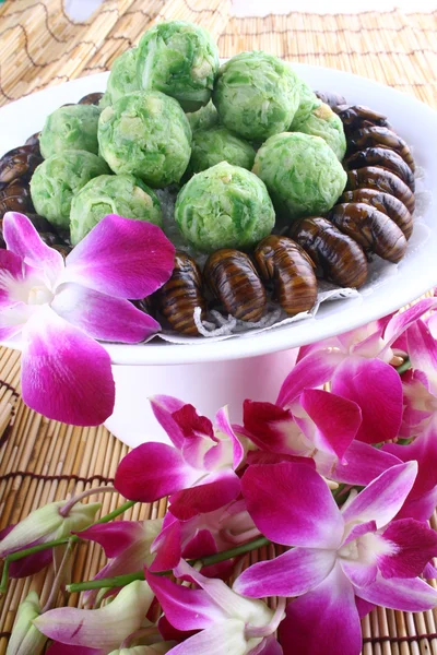 Chiny pyszne jedzenie - Cykada smażone i rzodkiewka piłka — Zdjęcie stockowe