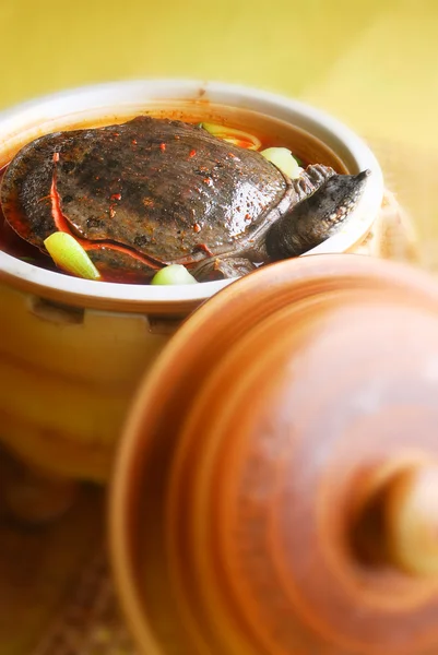 Chiny jedzenie miękkiej skorupie turtle — Zdjęcie stockowe