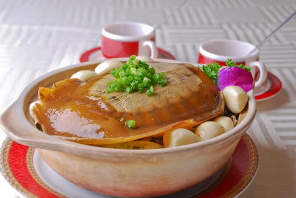 Tortue chinoise compotée à la nourriture — Photo