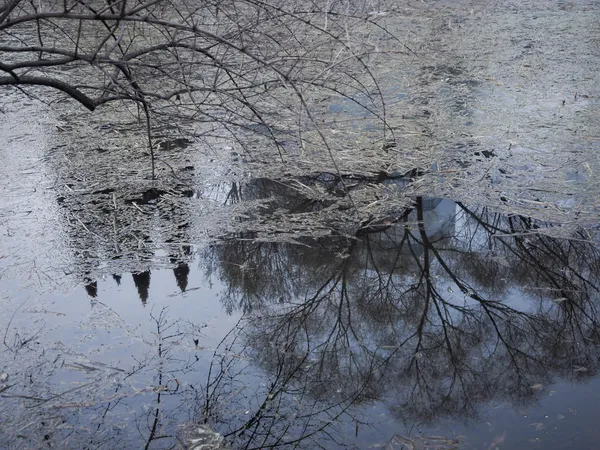 Lago — Foto de Stock