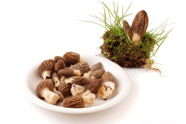 Morel mantarlı