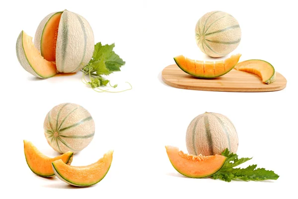 Sarı kavun - koleksiyon