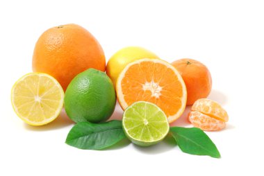 Citrus fruit clipart