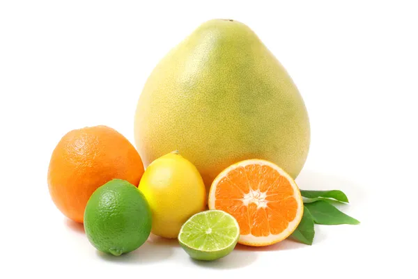 Citrusfrukter — Stockfoto