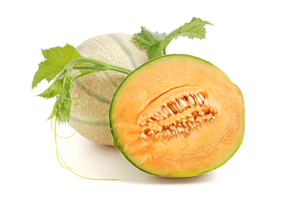 Melon