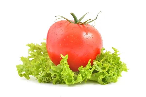 Rote Tomate — Stockfoto